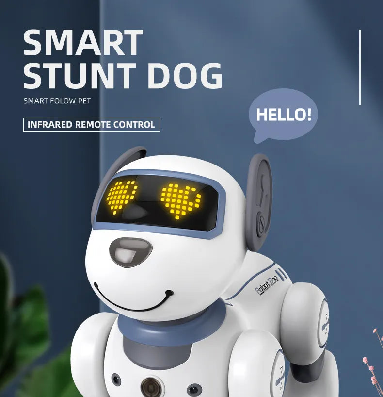 Funny Robotic Stunt Dog